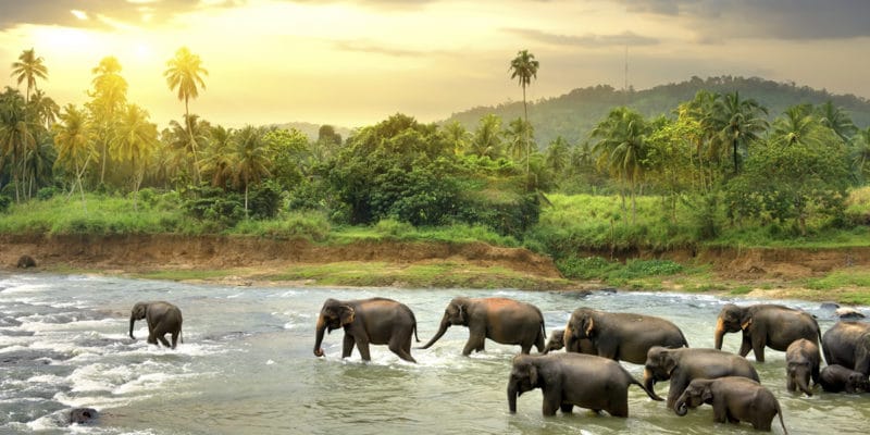 Sri Lanka